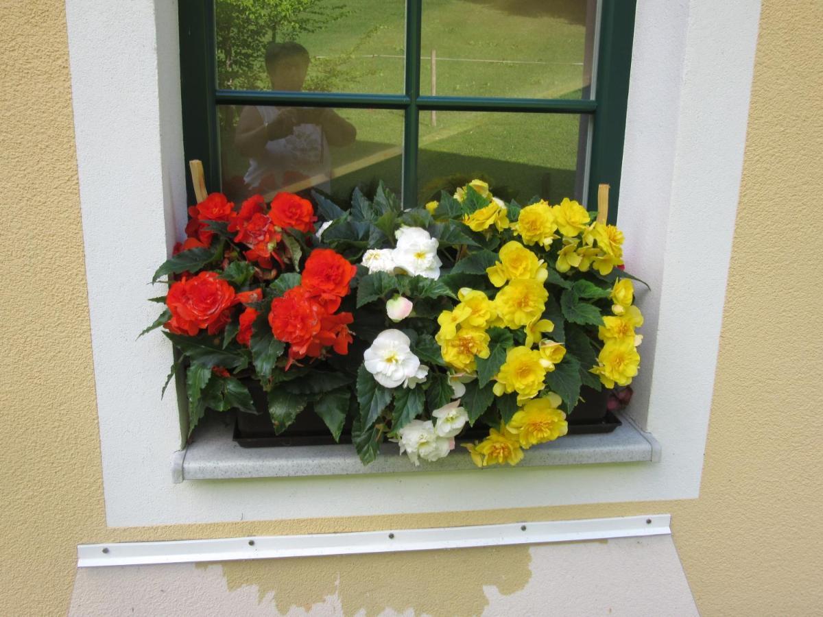 Ferienwohnung Haus Margarete Lackenhof Exterior foto